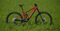 Marin Rift Zone E X 29