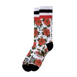 SIGNATURE - MONTH L/XL